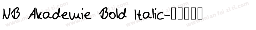 NB Akademie Bold Italic字体转换